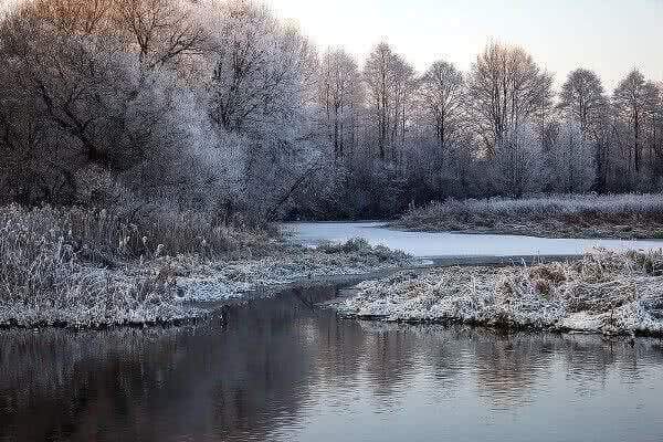 Тамбовская область – лидер экологического рейтинга по итогам зимы