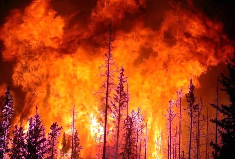 Галкин раскритиковал россиян, призывающих бороться с лесными пожарами