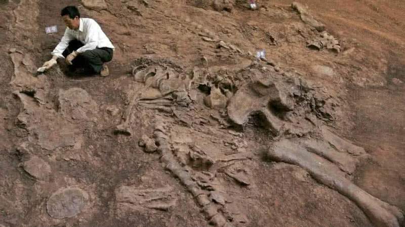 Найдены останки динозавров возрастом 120 миллионов лет
