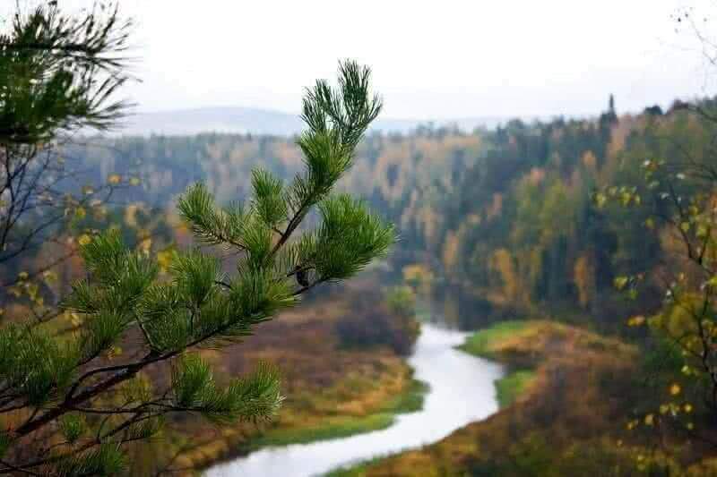 В Хабаровском крае создан природный парк «Шереметьевский»