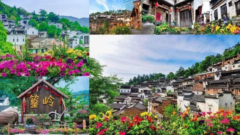 «Город цветов»: Хуанлин предлагает туристам погрузиться в мир цветоводства