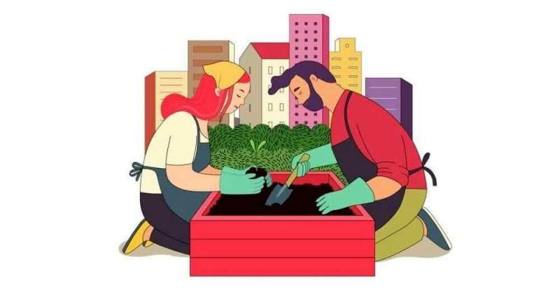 Астраханцев научат самостоятельно озеленять города и сажать деревья