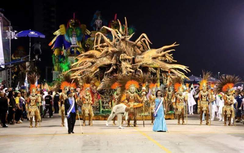 Медики: «Любителей карнавала ждет желтая лихорадка»