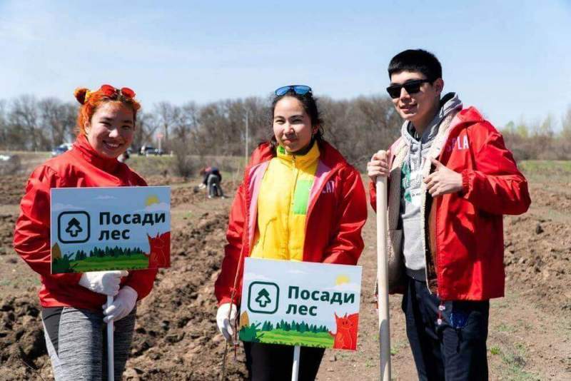 В Камызякском районе Астраханской области высажено 2 тысячи деревьев