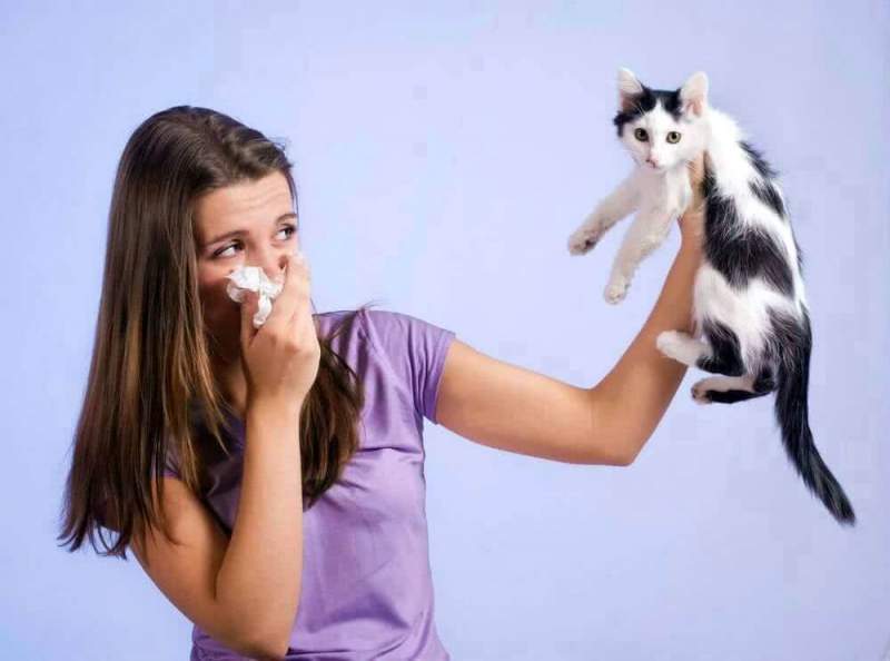 Как спастись от аллергии на домашних животных