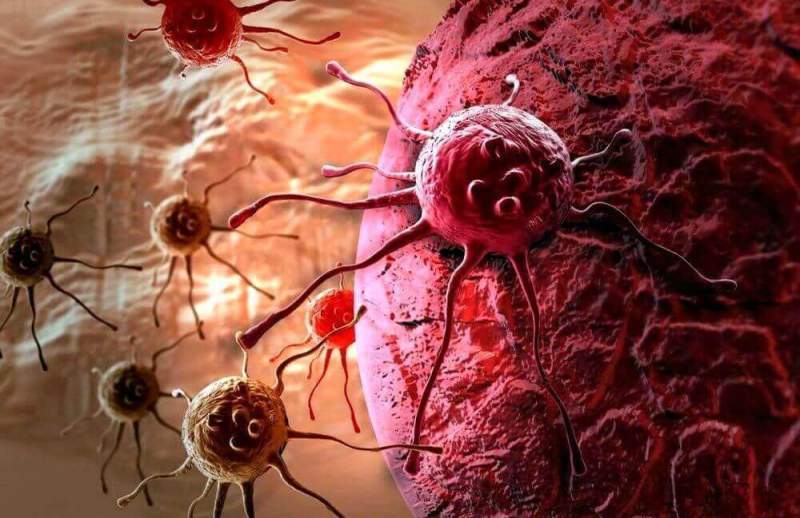 Ученые: «Раковая опухоль оказалась куда умнее, чем нам казалось»