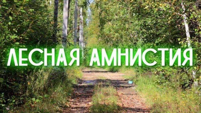 На Южном Урале устраняют противоречия в отношении лесных земельных участков