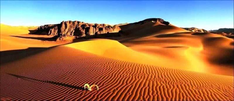 Зеленая и плодородная пустыня Сахара