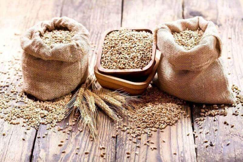 КНДР попросила у России в дар 50 тыс. тонн пшеницы