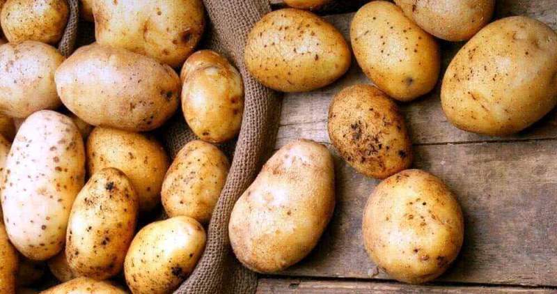 Египет начнет поставлять картофель в Россию