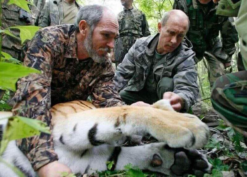 Во Франции рассказали, что Путин в отпуске охотится на тигров