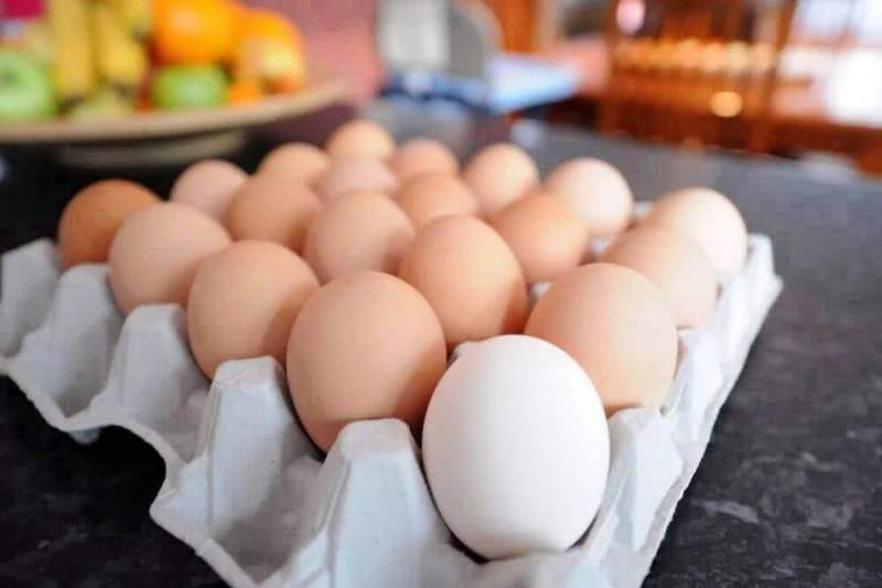 Новинка на прилавках: зачем уменьшать количество яиц в упаковке?
