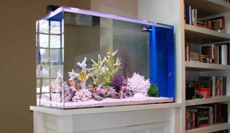 Встроенные аквариумы