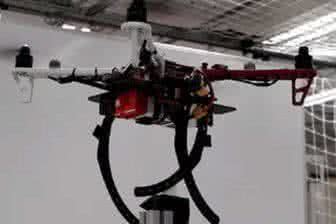 Создан уникальный дрон с возможностью отдыхать на ветках
